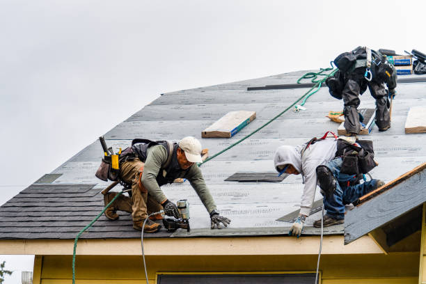 Professional Storm Damage Roof Repair technician working in Roanoke, AL